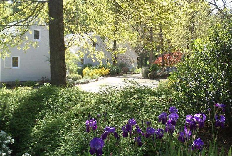 Les Chalets De Saumur, Piscine & Parc Boise, 100M Du Cadrenoir Esterno foto