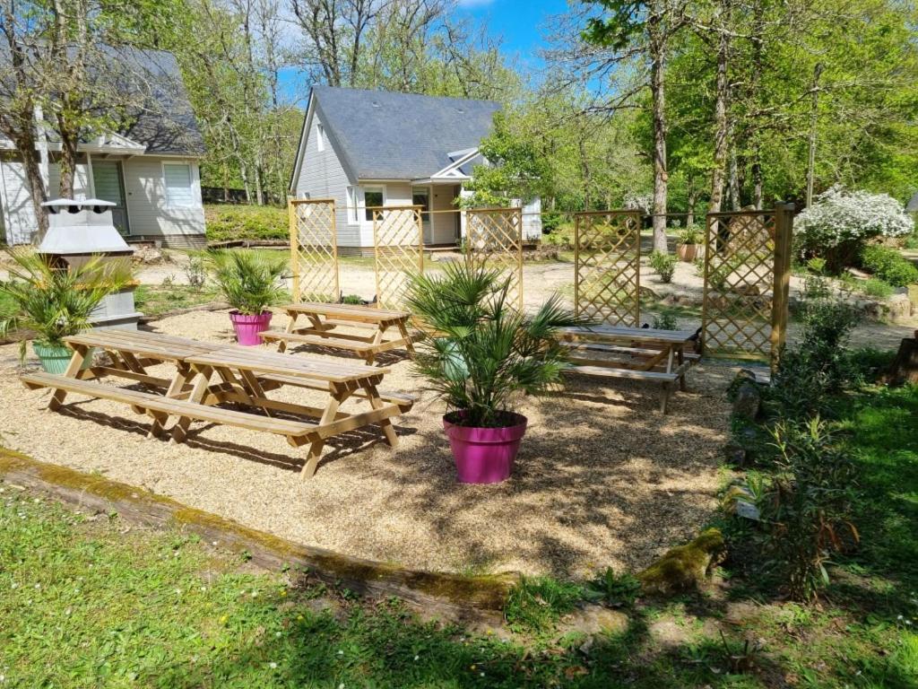 Les Chalets De Saumur, Piscine & Parc Boise, 100M Du Cadrenoir Esterno foto