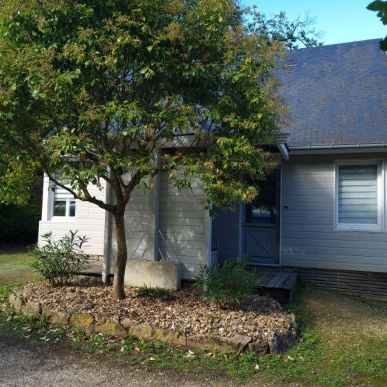 Les Chalets De Saumur, Piscine & Parc Boise, 100M Du Cadrenoir Esterno foto