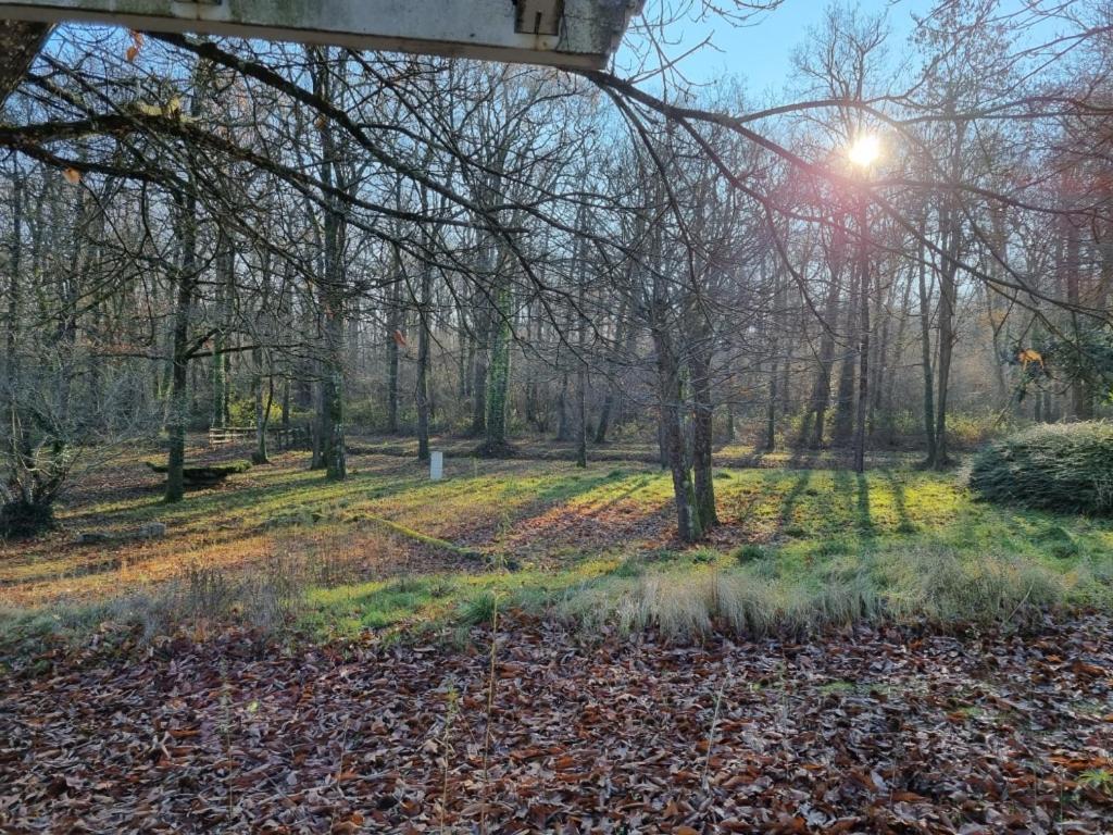 Les Chalets De Saumur, Piscine & Parc Boise, 100M Du Cadrenoir Esterno foto